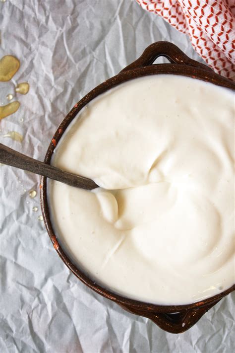 3 Ingredient Vanilla Greek Yogurt