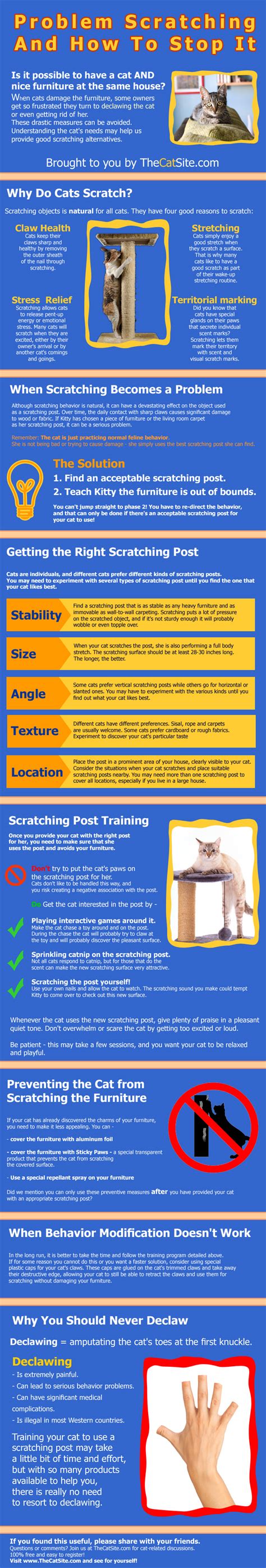 Pros and Cons of Declawing Cats - HRF