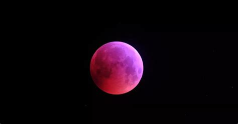 Super Blood Wolf Moon Lunar Eclipse Your Incredible Photos Of This