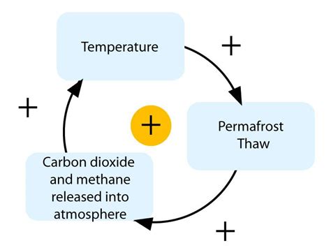 Positive and Negative Climate Feedback Loops Quiz - Quizizz