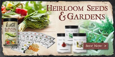 They, and others in this market, do this because most people are too lazy to do the math and will blindly choose the least expensive 3 month package. in reality, this package will only last the average person around 40 days. Heirloom Seeds From My Patriot Supply | Emergency food ...