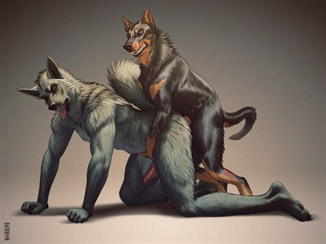 Rule 34 Anal Anal Sex Anthro Canine Canine Penis Feral