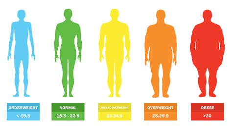 Bmi Body Mass Index Calculator Assistantgross