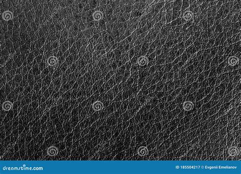 Black Leather Texture Stock Image Image Of Dark Skin 185504217