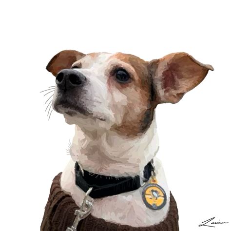 Digitally Draw Your Pet By Lrpcreations Fiverr