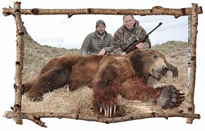 Bear Hunting Grizzly Rifle Caliber Kodiak Afognak