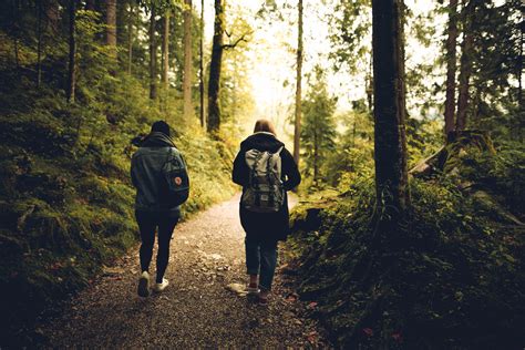 Duas Pessoas Caminhando Na Floresta · Foto Profissional Gratuita
