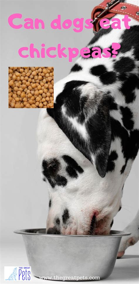 Adding seasonings and spice rubs, while delicious for humans, can be pork can be a tricky food for dogs because of the presence of parasites in raw pork and because of human preference for salts and seasonings on. Can dogs eat chickpeas? Are Chickpeas Safe For Dogs? I will show you if chickpeas or garbanzo ...