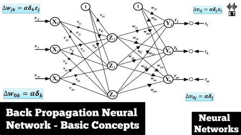 Back Propagation Neural Network Basic Concepts Neural Networks