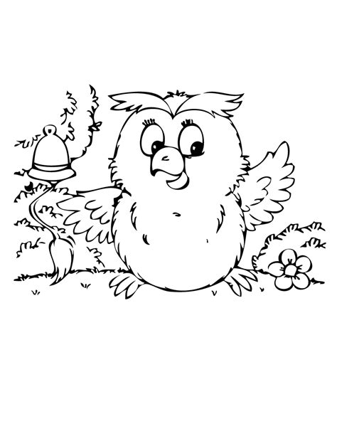 Baby Owl Coloring Pages
