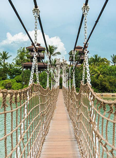 10 Rope Bridge In Sentosa Island Stock Photos Pictures And Royalty Free