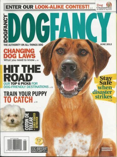 Dog Fancy Magazine Ridgeback Destinations Puppy Training Disaster