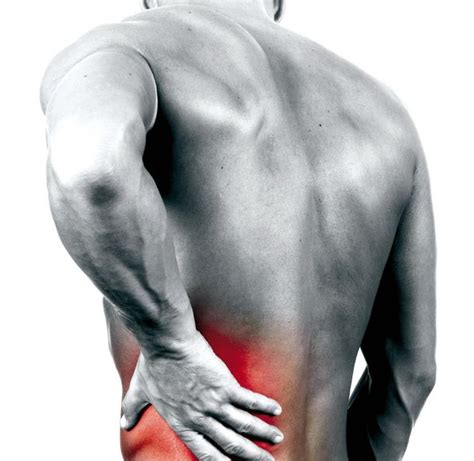 Seronegative Spondyloarthropathies And Inflammatory Low Back Pain Part