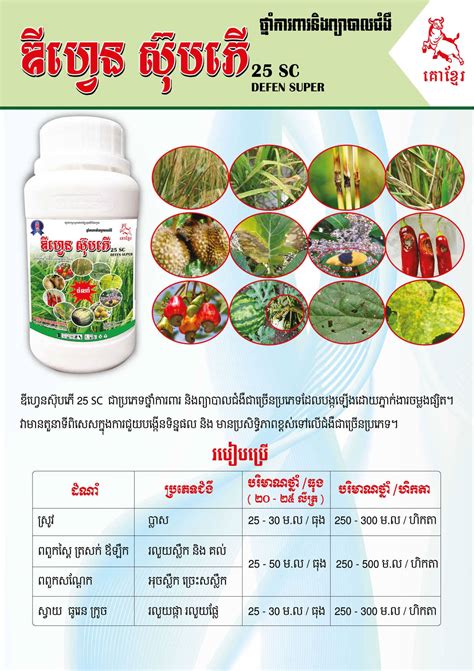Dynamic Group Cambodia Fungicidebactericide