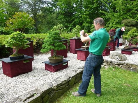 Wir zeigen ihnen kölns schönste radwege: Japanischer Garten Bonn | Bonsai Arbeitskreis Hückelhoven e.V.