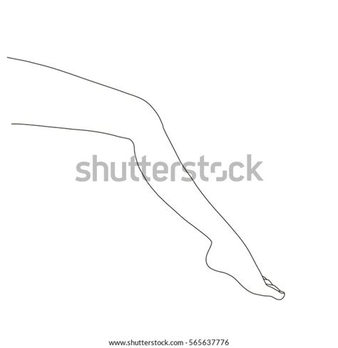 Nude Females Legs Line Drawing Illustration Stock Vector Royalty Free