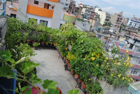 Awesome Rooftop Vegetable Garden Design Ideas Vegetable Garden Design
