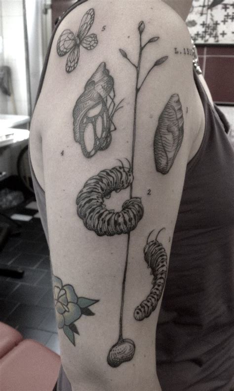 Insect Tattoo Butterfly Inspiração Para Tatuagem Tatuagem Tatuagem Lua