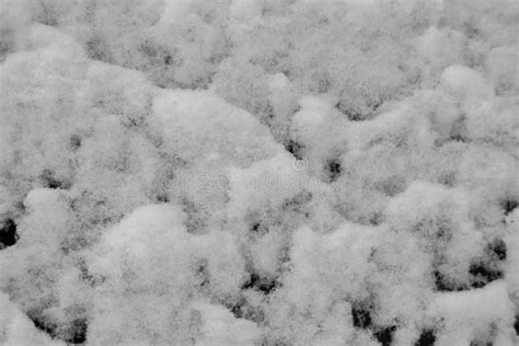 Beautiful Winter Background With Snowy Ground Natural Snow Texture