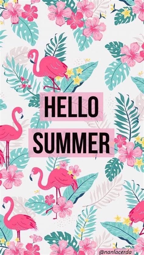 Cute Hello Summer Wallpapers Top Free Cute Hello Summer Backgrounds