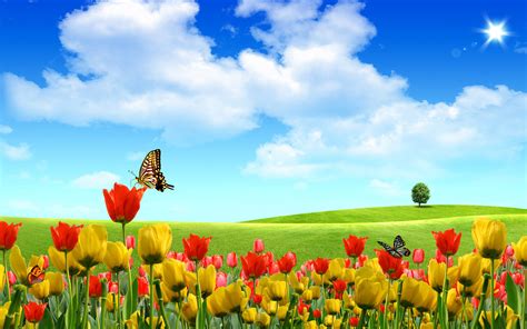 Flower Landscape Background Wallpaper 1680x1050 22885