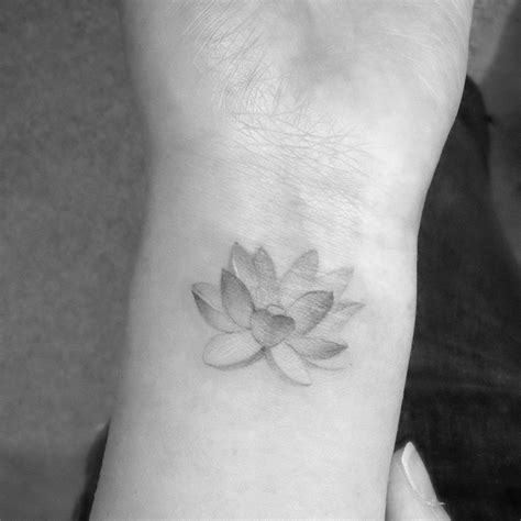 Water Lily Tattoo Meaning Neartattoos