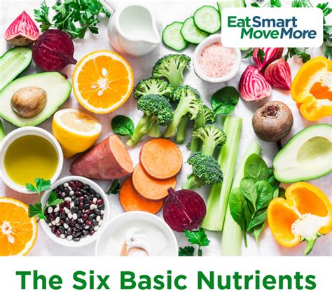 The Six Basic Nutrients Mindlor