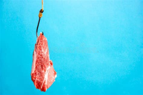 Raw Meat On A Hook Raw Pork Steak Hook Bait Stock Photo Image Of Fraud Money