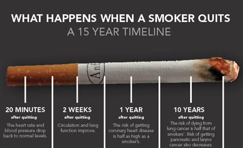 We did not find results for: Here Is A Timeline Of What Happens To Your Body When You Quit Smoking