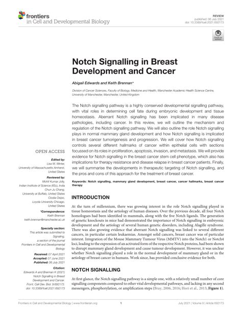 Pdf Notch Signalling In Breast Development And Cancer