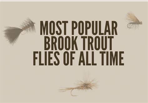 The Most Popular Brook Trout Flies Of All Time Fly Fishing Daily