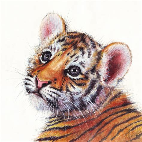 Tiger Cub Watercolor Painting Painting By Olga Shvartsur