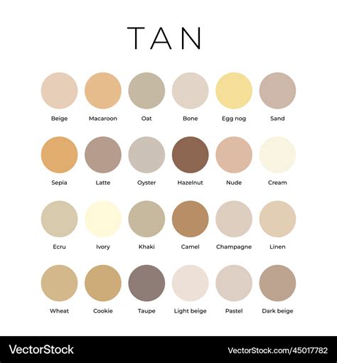 Tan Beige Color Shades Swatches Palette With Names