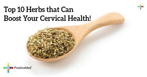 Top 10 Herbs That Can Boost Your Cervical Health
