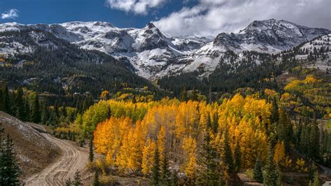 Mountains Forest Trees Road Autumn Scenery Wallpaper 1920x1080