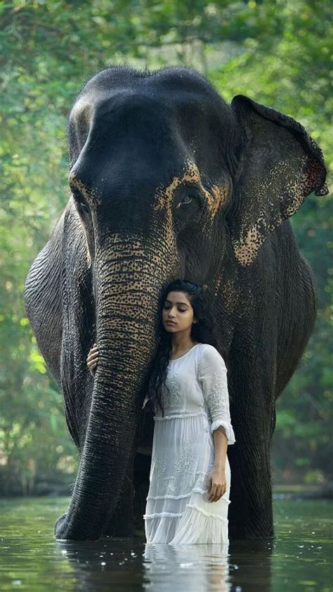 Pin By Reyes Ulibarri On Intia Elephant Photography Elephant