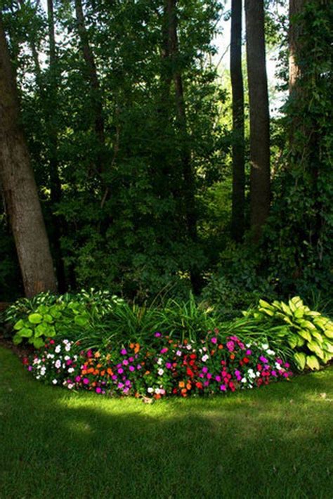 23 Shade Garden Plant Ideas You Cannot Miss Sharonsable