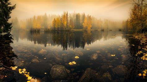 Foggy Lake In Finland Hd Wallpaper