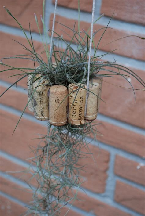 Hanging Air Plant Basket From Recycled Wine Corks : 6 Steps (with 