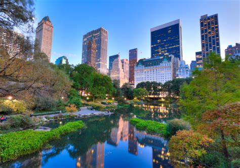 Besides being the city's primary green lungs, central park is a favourite spot for many new yorkers. Central Park In New York City At Dusk Stock Photo ...