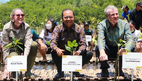 Konservasi Kawasan Mangrove Bali Mendapat Pujian Wisatakublog
