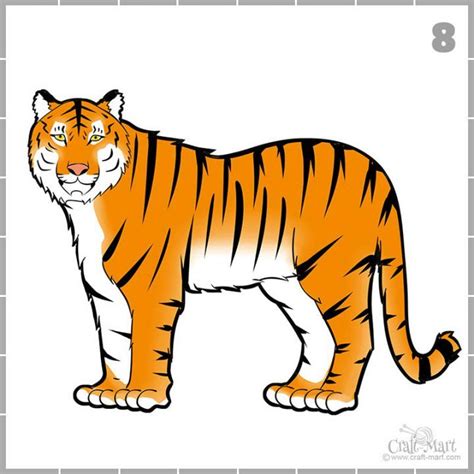 How To Create A Nice Drawing Of A Tiger For Beginners Tiger Drawing