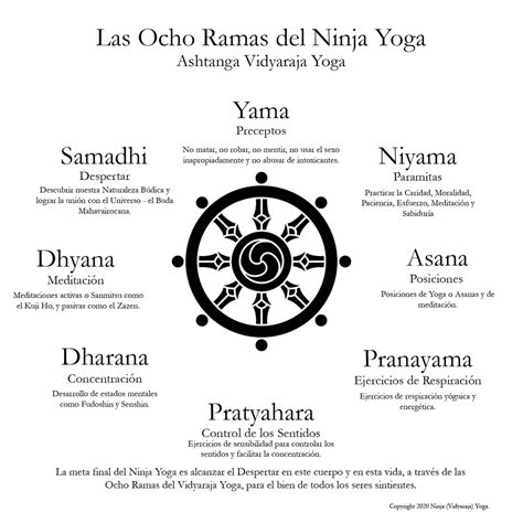 Ninja Yoga Blog Ashtanga Vidyaraja Yoga Las Ocho Ramas Del Ninja Yoga