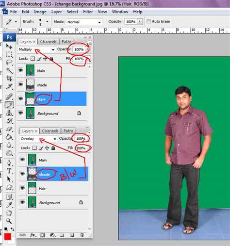 Guide To Adobe Photoshop Cs3 Baydaser