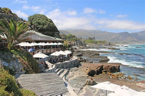 Unimaginable Things To Do In Hermanus South Africa Travel To The Next