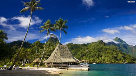 Tropical Island Paradise Wallpapers Top Free Tropical Island Paradise