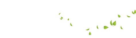 Png Green Leaves Transparent Background Free Psd Templates Png Vectors