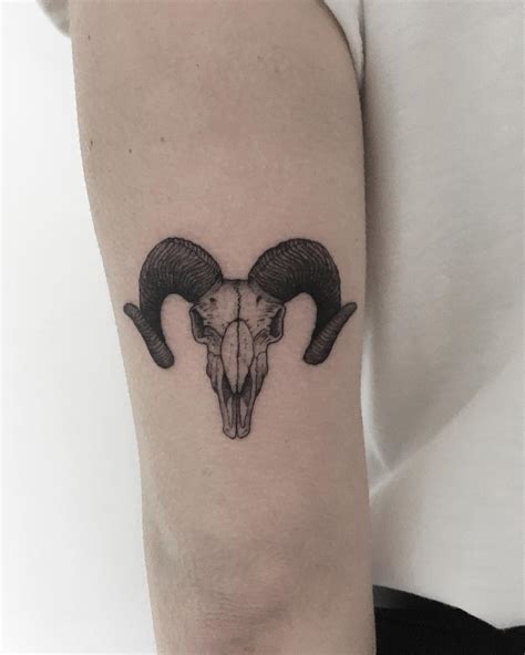 Goat Skull By Tattooist Spence Zz Tattoo