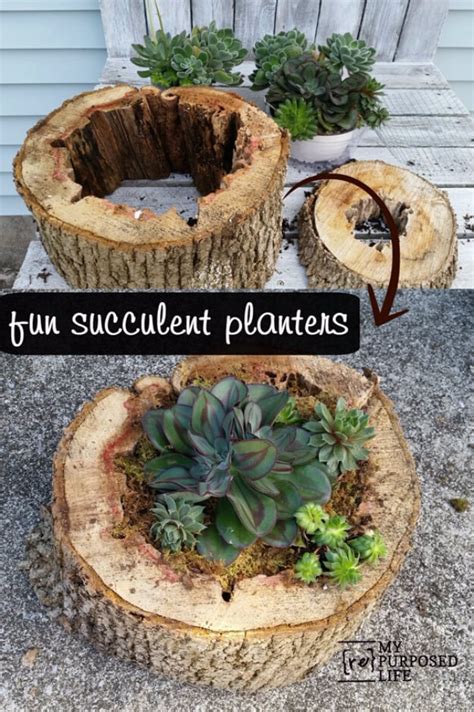 33 Best Diy Indoor And Outdoor Succulent Planter Ideas For 2023