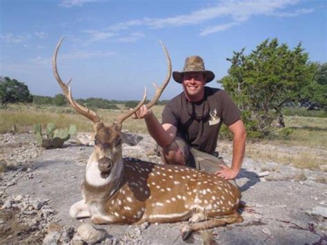 Guided Texas Exotic Hunts All Seasons Guide Service
